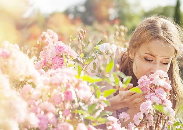 Consumer trends and perfume styling